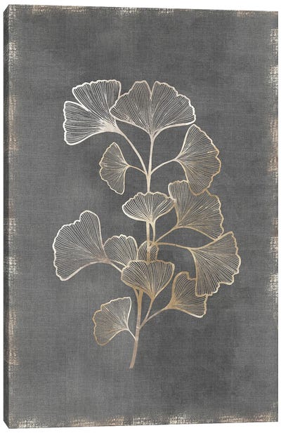 Gilded Botanical II Canvas Art Print - Medical & Dental