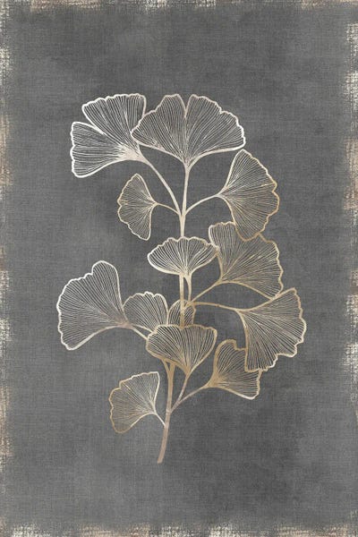Large Floral & Botanical Art - Canvas Prints: Gilded Botanical II by Eva Watts