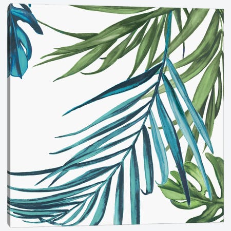 Palm Leaves III Canvas Print #EWA39} by Eva Watts Canvas Print