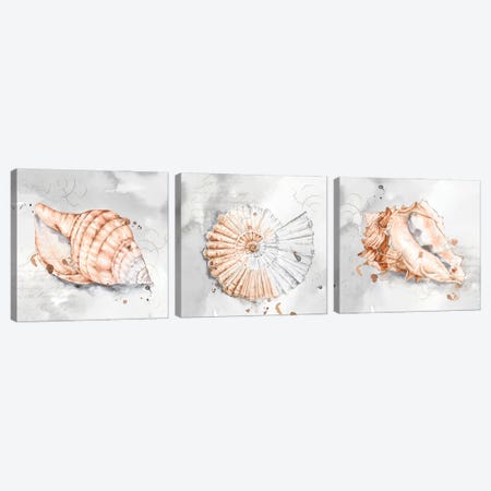 Blush Shell Triptych Canvas Print Set #EWA3HSET001} by Eva Watts Canvas Art Print