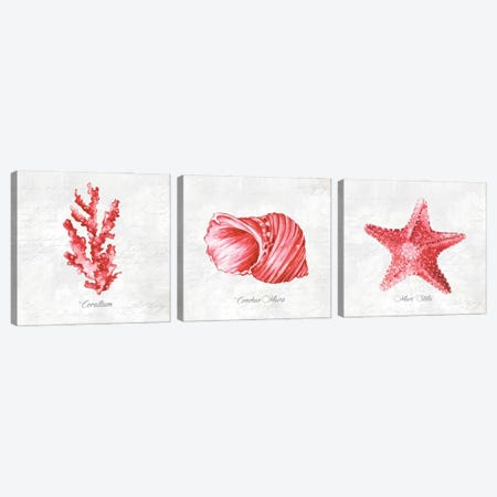 Red Sea Triptych Canvas Print Set #EWA3HSET002} by Eva Watts Art Print