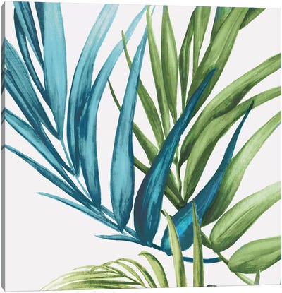 Palm Leaves IV Canvas Art Print - Eva Watts