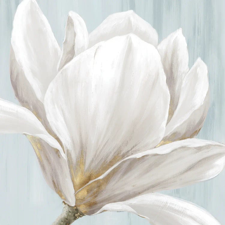 Soft White I by Eva Watts wall art