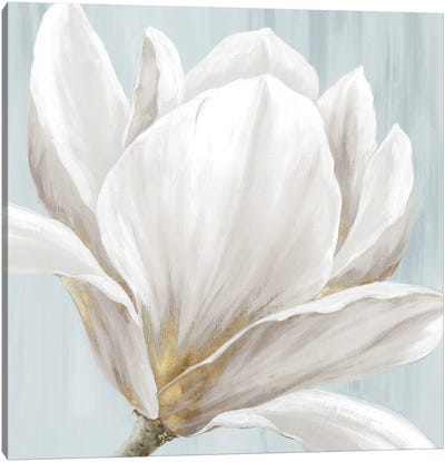 Soft White I Canvas Art Print - Eva Watts