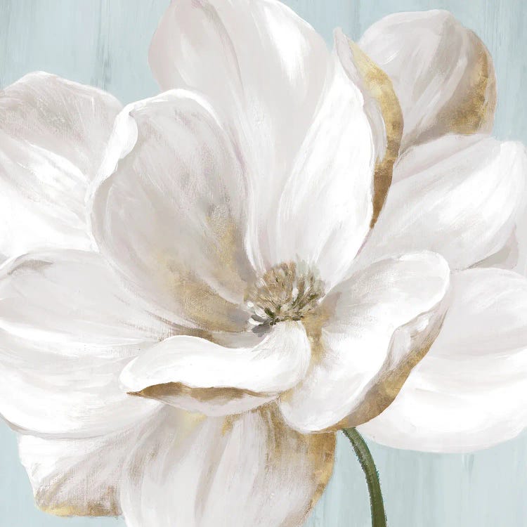 Soft White II by Eva Watts wall art