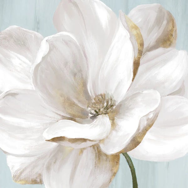 PI Creative Art: Soft White II by Eva Watts