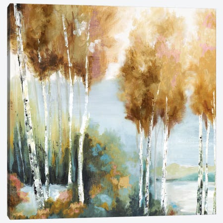 Forest Peak Canvas Print #EWA462} by Eva Watts Canvas Print
