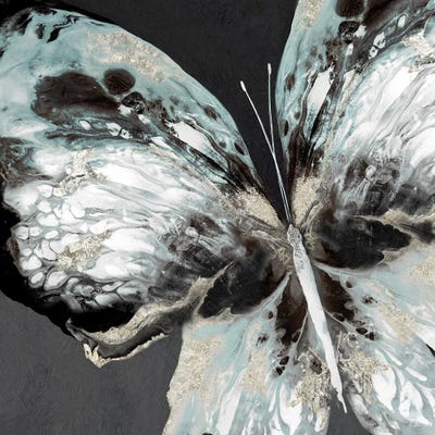 Glowing Butterfly by Eva Watts canvas print