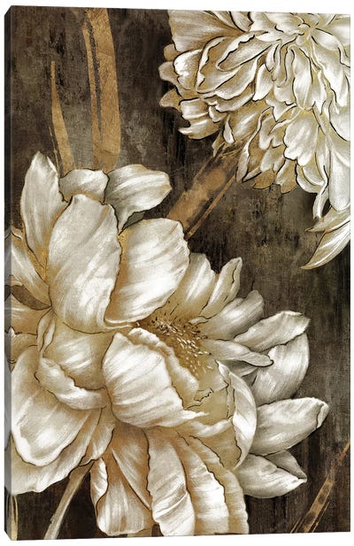 Golden Grace I Canvas Art Print - Eva Watts