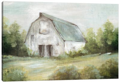 Homestead Memories Canvas Art Print - Barns