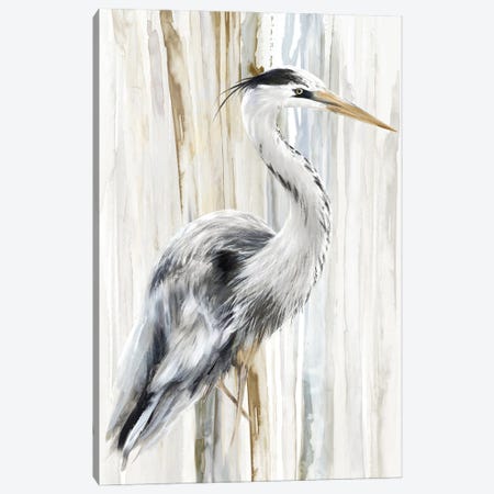 River Heron I Canvas Print #EWA483} by Eva Watts Canvas Print