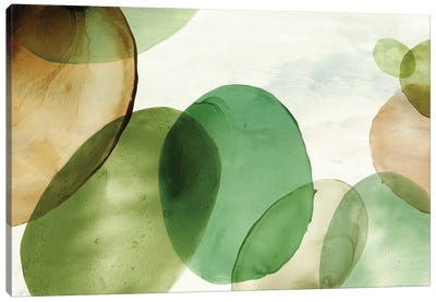Dark Green Bubbles Canvas Art Print - Eva Watts