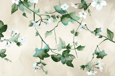 Delicate Green Branches by Eva Watts canvas print