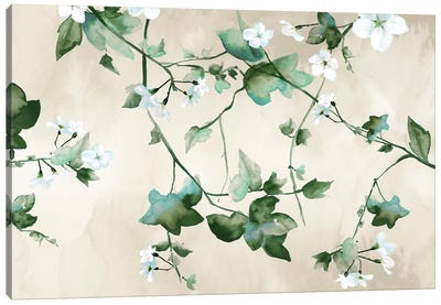 Delicate Green Branches Canvas Art Print - Eva Watts