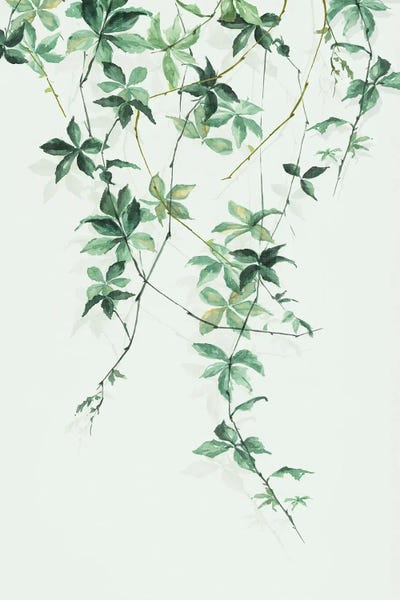 Enchanting Vine by Eva Watts canvas print