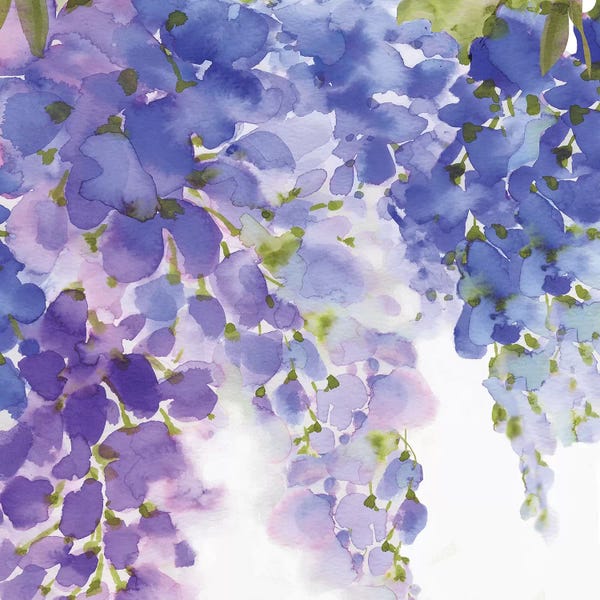 Spring: Wisteria II by Eva Watts