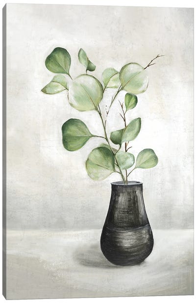 Quiet Zen I Canvas Art Print - Botanical Still Life