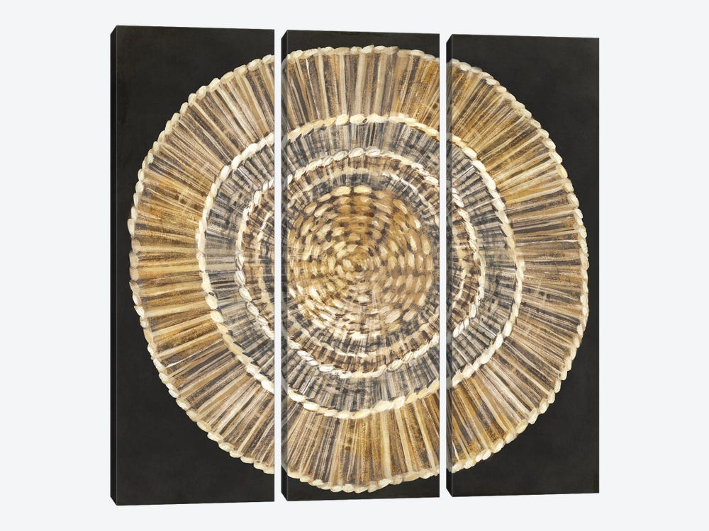 Straw Woven Plate by Eva Watts 3-piece Canvas Print