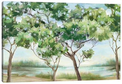 Summer Green Forest I Canvas Art Print - Eva Watts