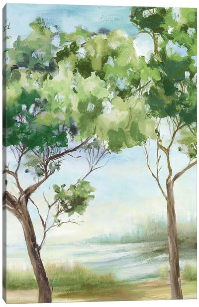 Summer Green Forest II Canvas Art Print - Eva Watts