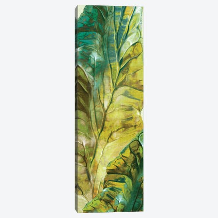 Tropical Green Leaves II Canvas Print #EWA542} by Eva Watts Canvas Art