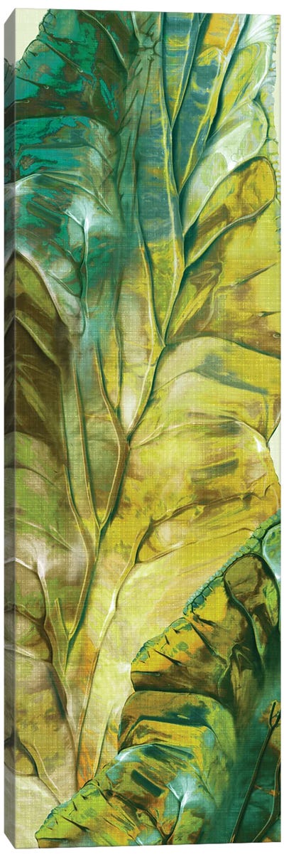 Tropical Green Leaves II Canvas Art Print - Eva Watts