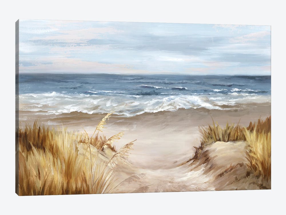 Untouched Beach by Eva Watts 1-piece Canvas Art
