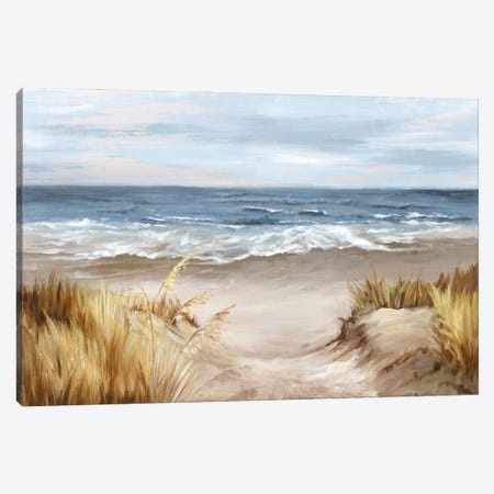 Untouched Beach Canvas Print #EWA543} by Eva Watts Canvas Artwork