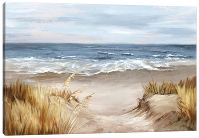 Untouched Beach Canvas Art Print - Coastal Sand Dune Art