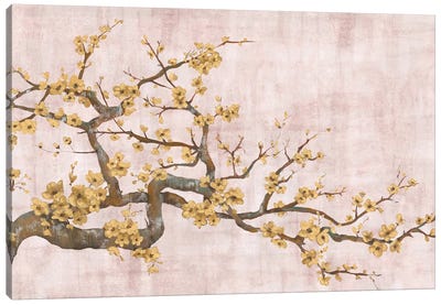 Angles Of Gold Canvas Art Print - Almond Blossoms