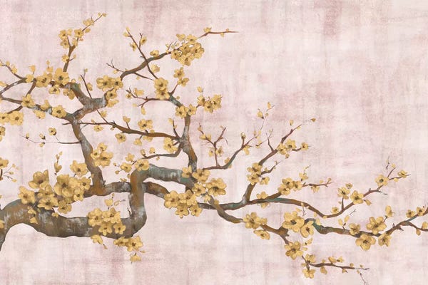 Almond Blossoms