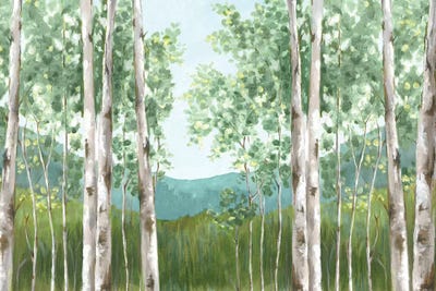 Behind Mountains by Eva Watts canvas print