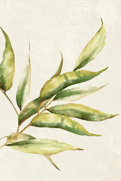Willow Branch I by Eva Watts wall art