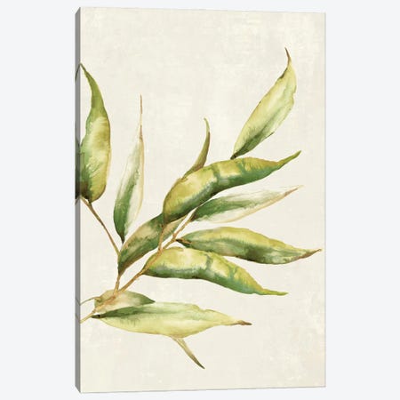 Willow Branch I Canvas Print #EWA550} by Eva Watts Canvas Art Print