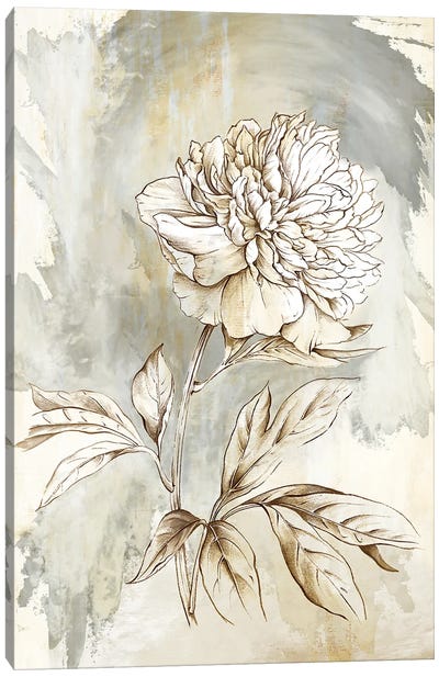 Beauty Within Canvas Art Print - Minimalist Flowers
