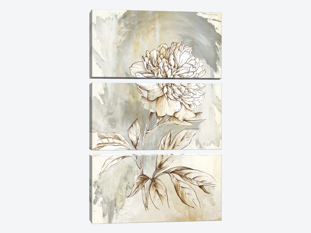 Beauty Within by Eva Watts 3-piece Canvas Artwork