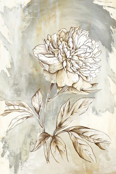 Shabby Chic Décor: Beauty Within by Eva Watts