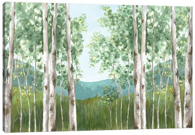 Behind Mountains Canvas Art Print - Eva Watts