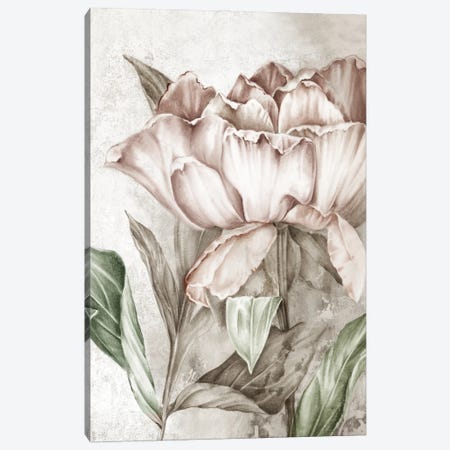 Blush Botanical Canvas Print #EWA562} by Eva Watts Canvas Art