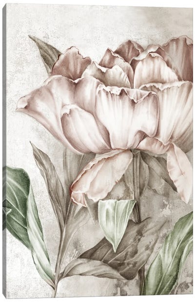 Blush Botanical Canvas Art Print - Eva Watts