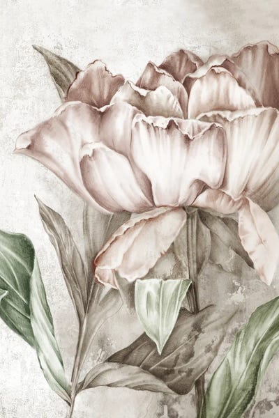Eva Watts: Blush Botanical by Eva Watts