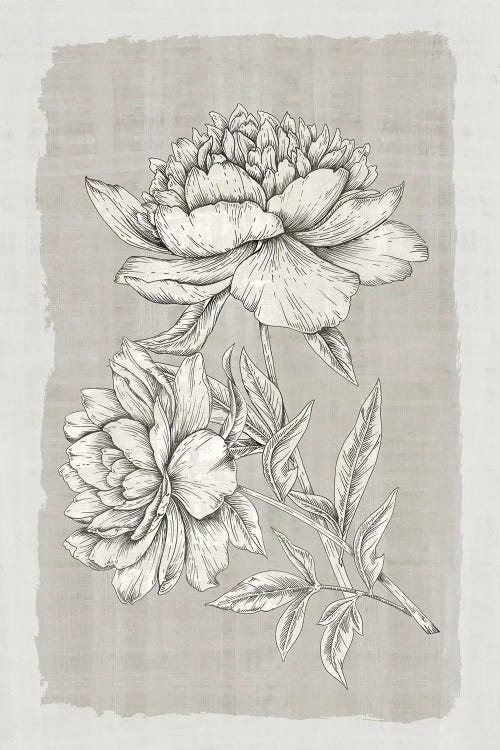 Botanical Linen I