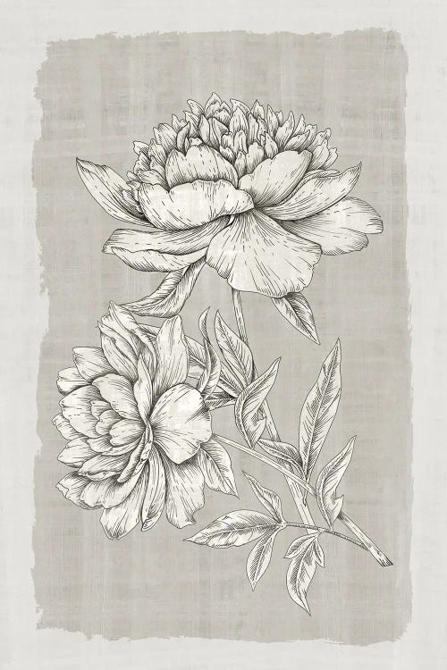 Botanical Linen I by Eva Watts wall art