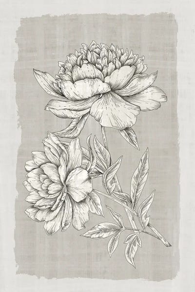 Shabby Chic Décor: Botanical Linen I by Eva Watts