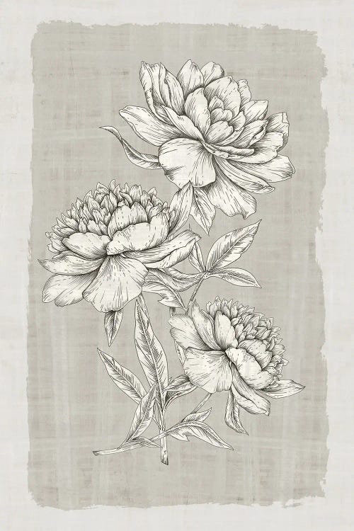 Botanical Linen II