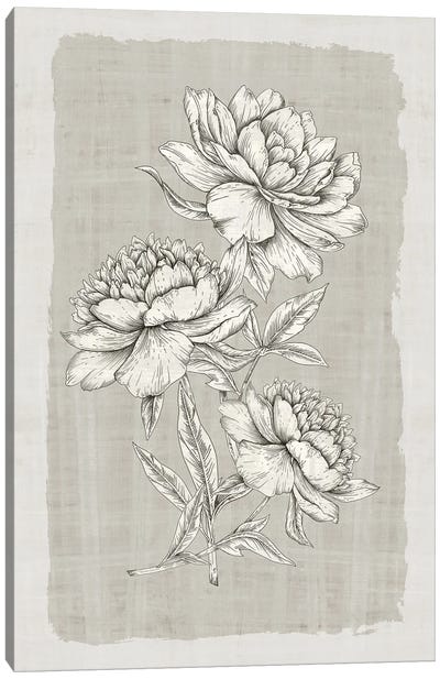 Botanical Linen II Canvas Art Print - Eva Watts