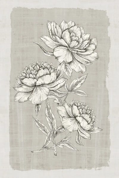 Eva Watts: Botanical Linen II by Eva Watts