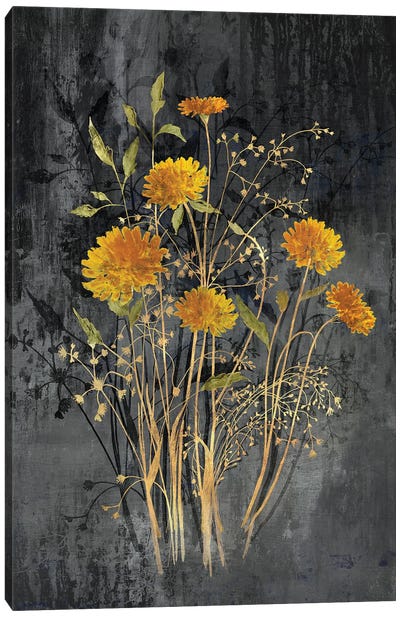 Fields Of Gold I Canvas Art Print - Eva Watts