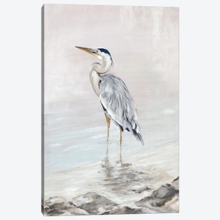 Heron Beauty I Canvas Print #EWA581} by Eva Watts Canvas Art