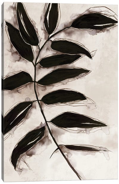Leaves II Canvas Art Print - Eva Watts